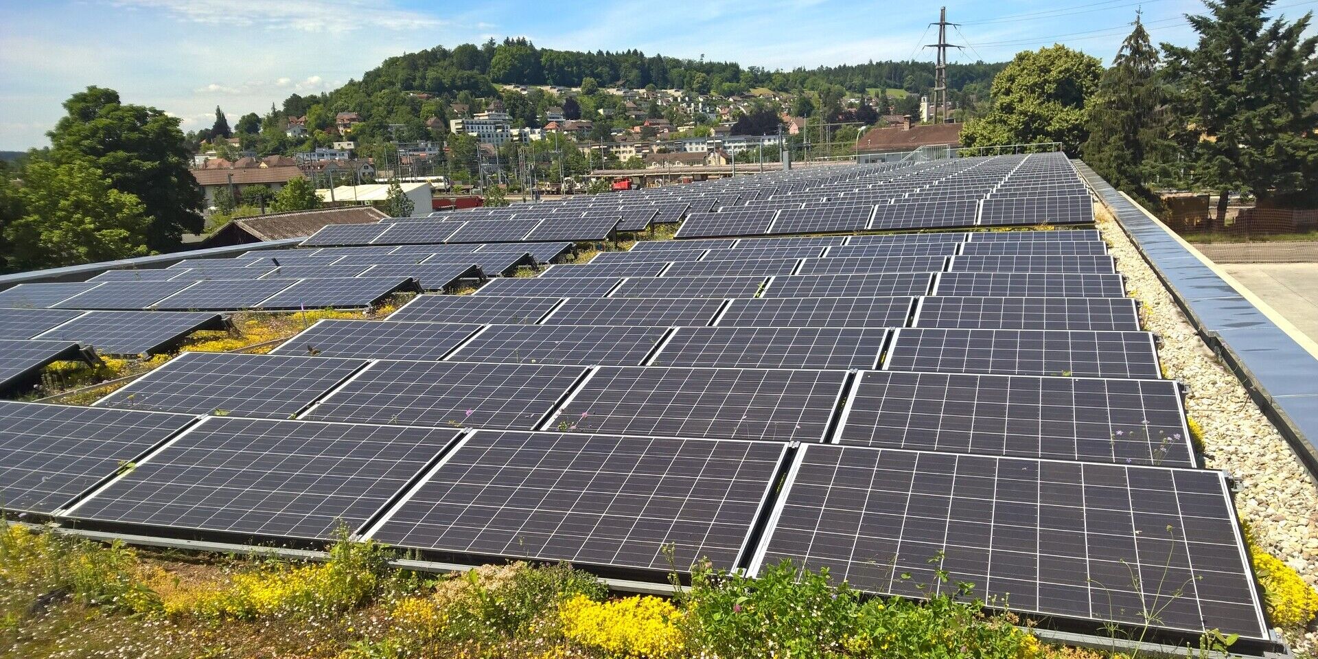 EnergieGrünDächer